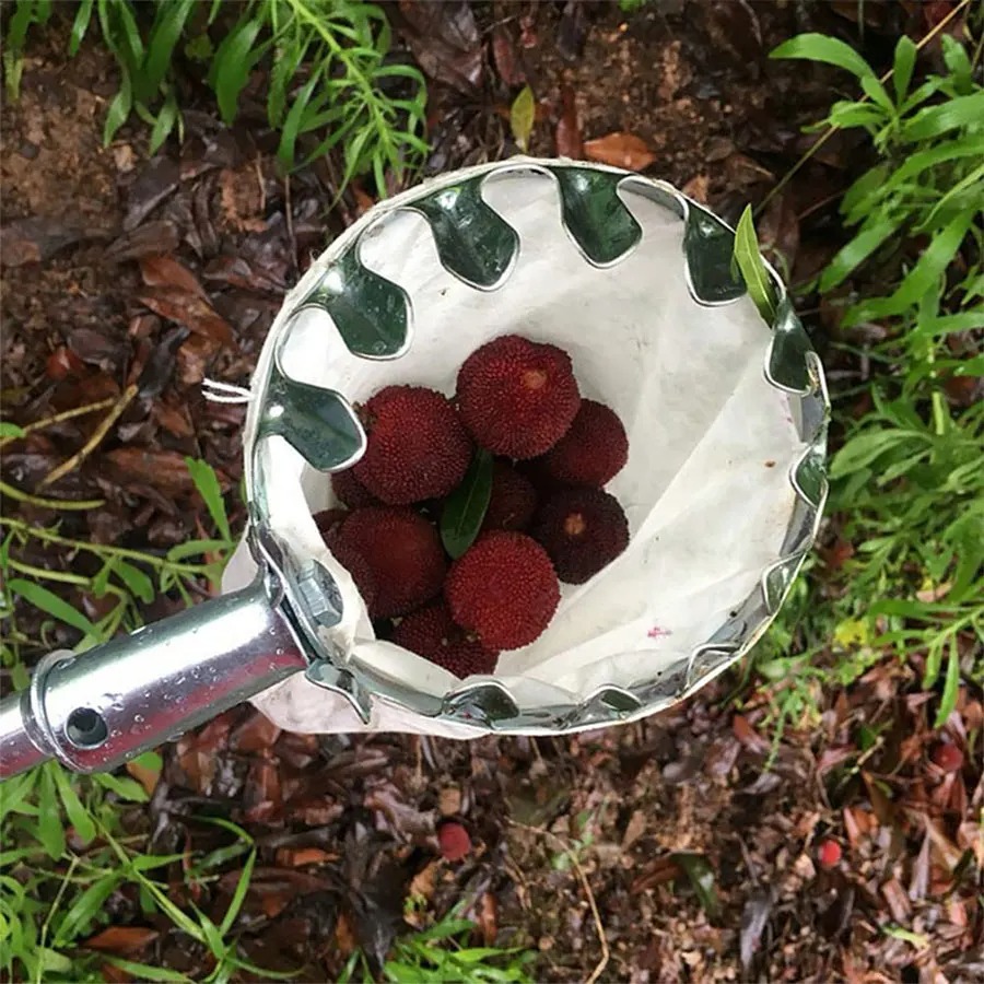 Grow Bag - 3-in-1 Fruit Harvesting Tool Set for