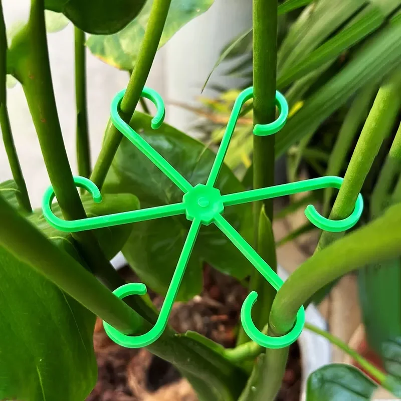 Flower Plant Stem Support Stak - đánh giá và giá Indoor Herb Garden