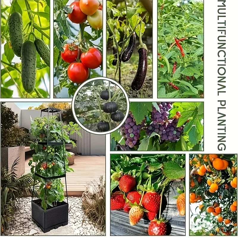 Tomato Tower with Self Waterin - đánh giá và giá Indoor Herb Garden