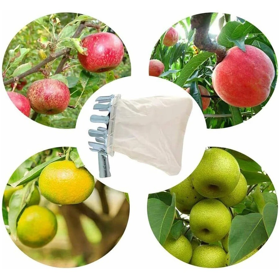 3-in-1 Fruit Harvesting Tool S - đánh giá và giá Grow Bag