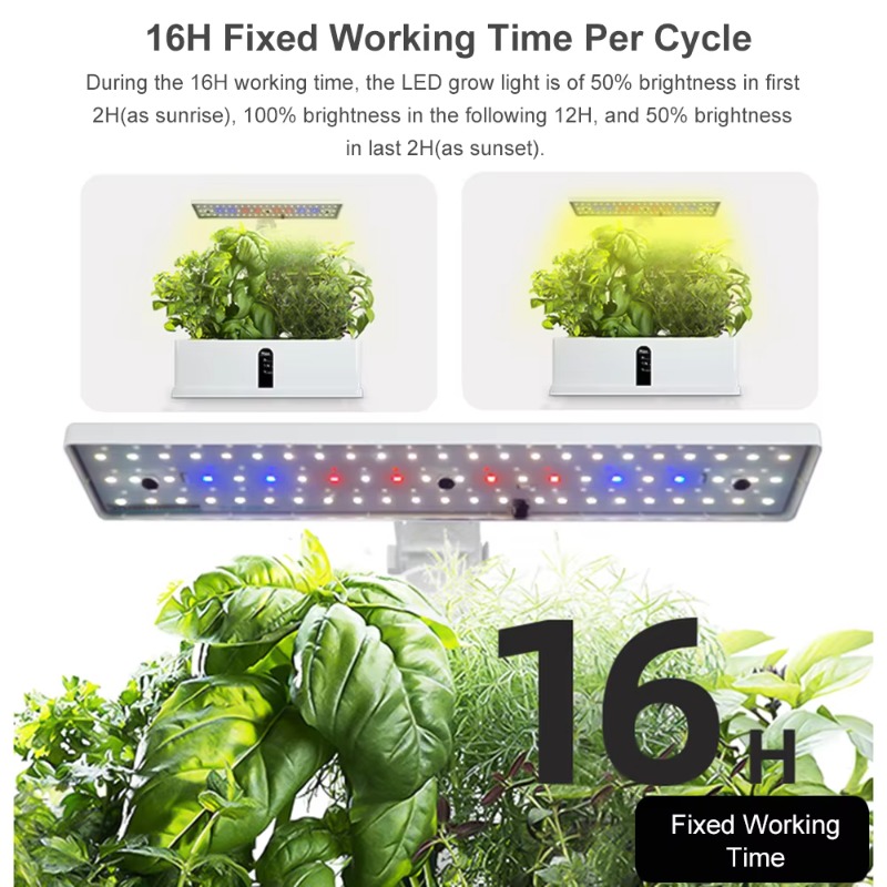 9 Pods Smart Hydroponics Growi - đánh giá và giá Hydroponic Kit