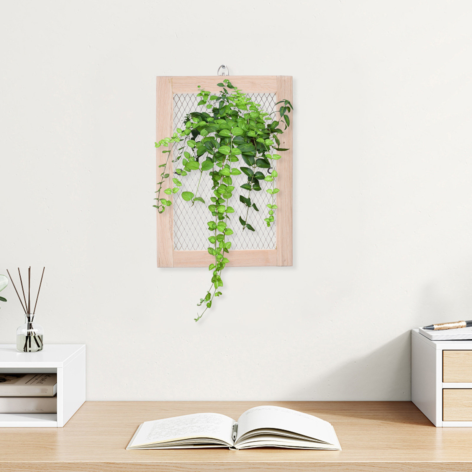 Staghorn Fern Mounting Board – - đánh giá và giá Vertical Planter