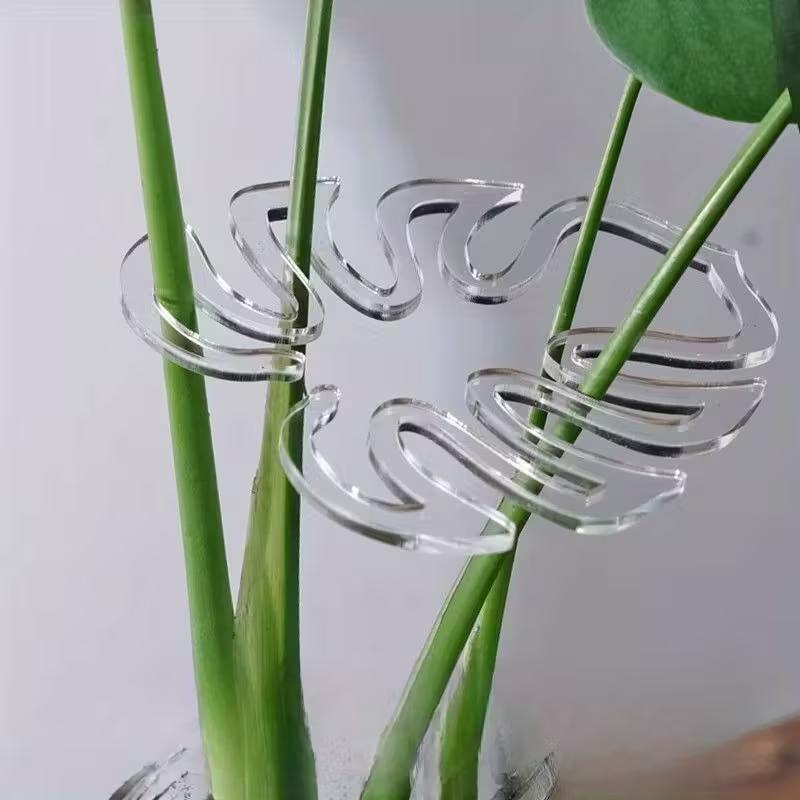 10-Pack Clear Flexible Plant S - đánh giá và giá Indoor Herb Garden