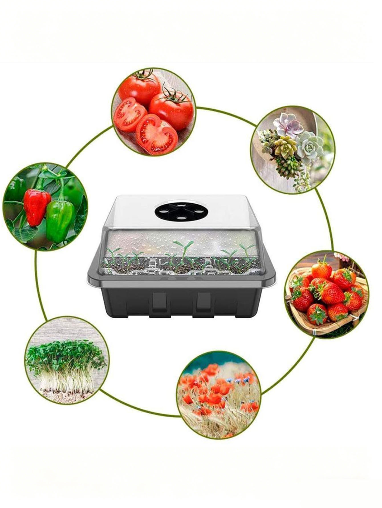 1/2pc 6/12-Hole Seedling Tray, - đánh giá và giá Seed Starter Tray